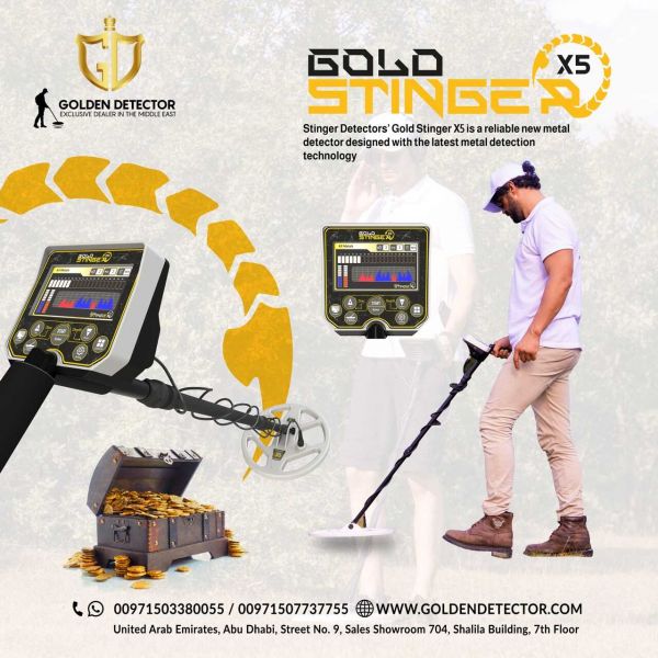 Gold Stinger device to search for gold chests