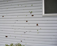 Roof Repair NWA