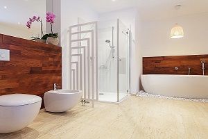 Modern Bathroom Remodel And Renovation Plesanton